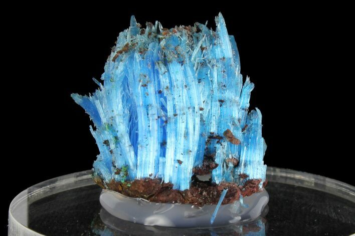 Vibrant Blue Chalcanthite - Planet Mine, Arizona #176484